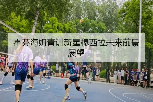 huo-fen-hai-mu-qing-xun-xin-xing-mu-xi-la-wei-lai-qian-jing-zhan-wang-2-409.jpg