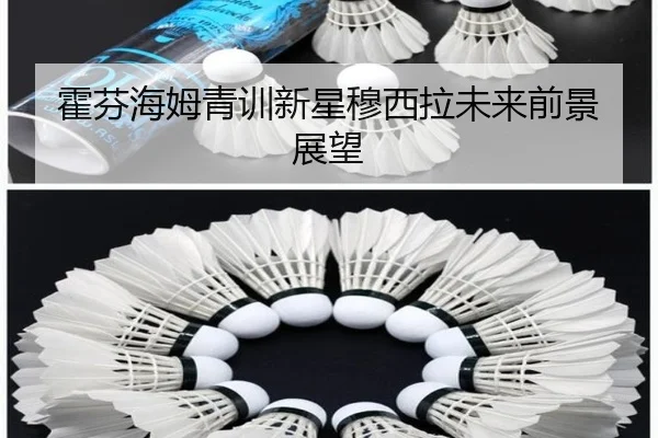 霍芬海姆青训新星穆西拉未来前景展望